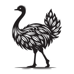 Ostrich silhouette vector illustration, Ostrich emu bird vector illustration on a white background