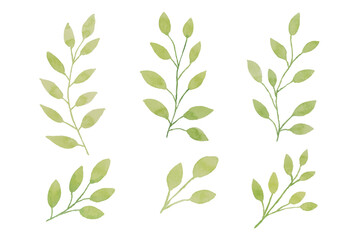 Assortment of watercolor leaves illustration set - green leaf branches collection for wedding, greetings, stationary, wallpapers, fashion, background. olive, green leaves, Eucalyptus etc