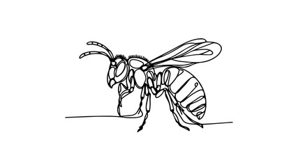 One line illustration of a wasp 
