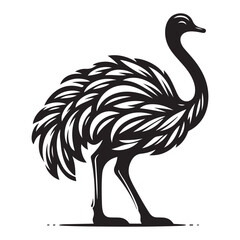 Ostrich silhouette vector illustration, Ostrich emu bird vector illustration on a white background