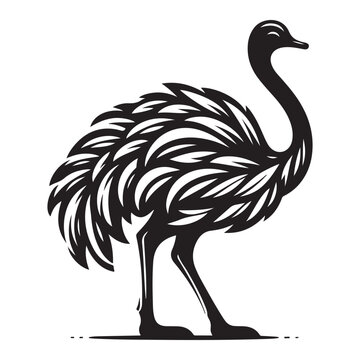 recommend clip art: Ostrich silhouette vector illustration, Ostrich emu bird vector illustration on a white background