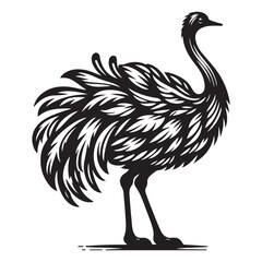 Ostrich silhouette vector illustration, Ostrich emu bird vector illustration on a white background
