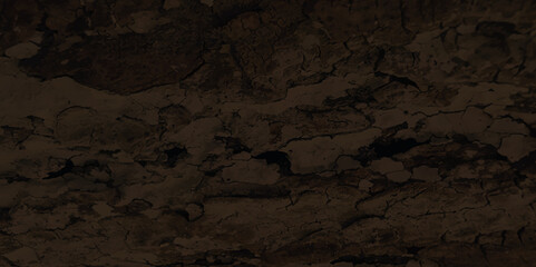 Dirty old wood texture. Grunge wood background.