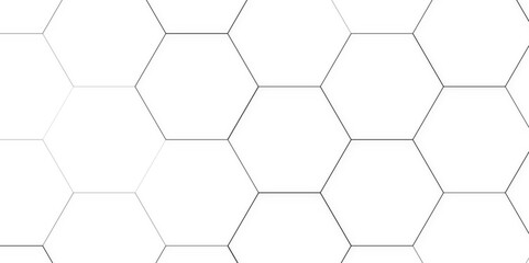 honeycomb white Background ,light and shadow, White beehive background. Honeycomb, bees hive cells pattern. 
