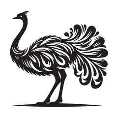 Ostrich silhouette vector illustration, Ostrich emu bird vector illustration on a white background