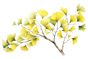 PNG Tree leaf yellow plant.