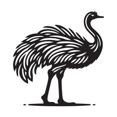 Ostrich silhouette vector illustration, Ostrich emu bird vector illustration on a white background