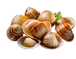 A collection of fresh, colorful shells showcasing their unique patterns and textures, perfect for culinary or decorative uses.