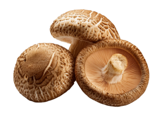 Fresh and organic shiitake mushrooms, perfect for culinary use, showcasing their unique texture and color.