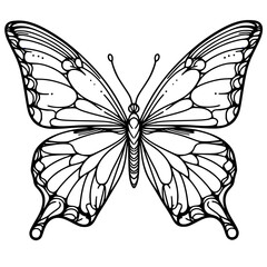 black and white butterfly, butterfly one line drawing