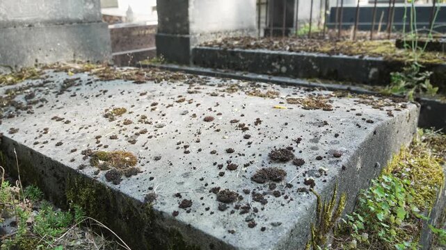 Ancient Parisian cemetery Montparnasse. Tombstones and crypts on graves. Old burial in the shade of trees. Memory of ancestors, peace of mind, France, Paris