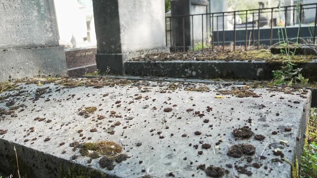 Ancient Parisian cemetery Montparnasse. Tombstones and crypts on graves. Old burial in the shade of trees. Memory of ancestors, peace of mind, France, Paris