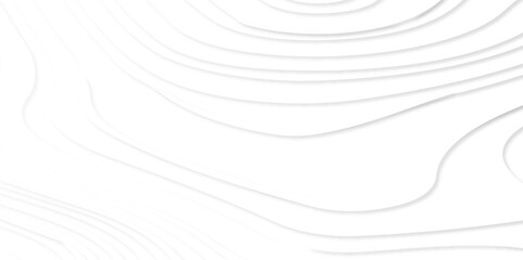 white pattern lines gradients, Abstract Luxury paper cut background, Abstract decoration, 