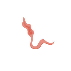 Flatworms parasite illustration 