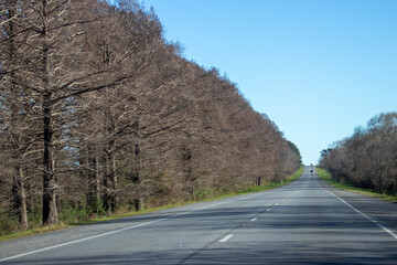 En la ruta