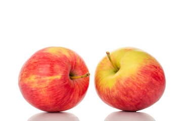 Two red apples, macro, isolated on white background.