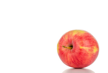 One red apple, macro, isolated on white background.
