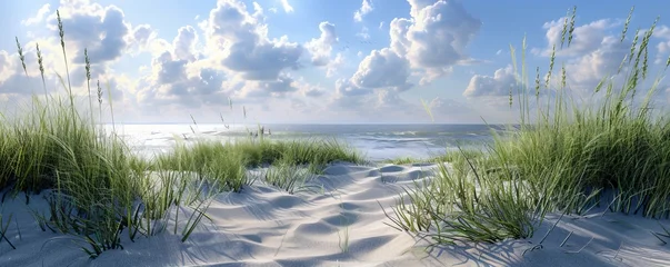 Coastal dunes with beach grass, 4K hyperrealistic photo