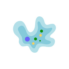Binary fission in amoeba. Vector educational illustration. Reproduction