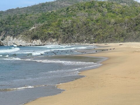 Vista del mar y la rena en la playa