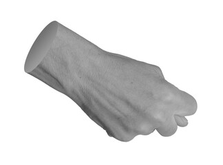 Rude bad offensive gestures, fig symbol, hand sign isolated on white background.