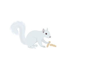 Callosciurus finlaysonii on a white background.