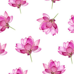 Seamless Watercolor Pattern of Pink Lotus Flowers Gracefully Displayed on a White Background