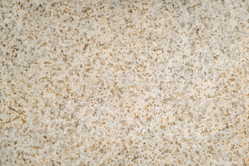 Close-Up of Textured Concrete Surface with Speckles and Natural Imperfections