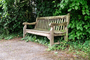 Rustic Wooden Bench in Lush Green Garden Amidst Vivid Foliage and Natural Pathway