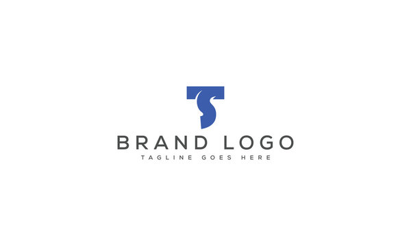 letter TS logo design vector template design for brand.