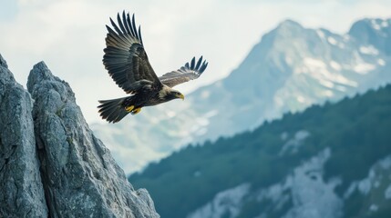 Majestic eagle soaring above a mountain range with wings fully extended, capturing the beauty and freedom of wildlife in its natural habitat.