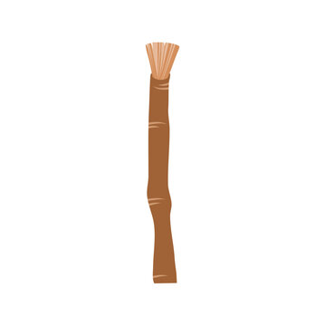 siwak natural toothbrush, plant, branch and leaves. Vector hand drawn illustration.