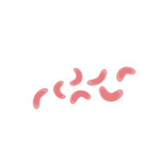 Viruses, germs and bacteria, microorganism types. Illness or disease microscopic cells and infection, microbes and antibodies.