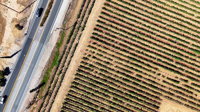 California, Wineries, Solar, Landscape, Scenic, Birds Eye View, Vineyards, Drone, Temecula, Country,