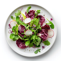 Elegant vegetarian salad with green and purple mesclun mix, herbs, thin slices of radish, on a round ceramic plate. Light summer meal. Diet, healthy eating. White background. Top view.