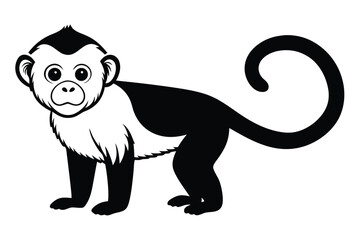 Faced Capuchin on Vector Illustration and Detailed vector illustration of a faced capuchin, perfect for wildlife and nature-themed designs.