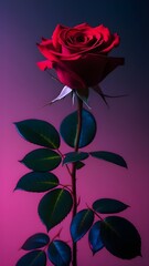 Charming Roses & Hearts Dreamy Valentine's Wallpaper, Beautiful red rose for mobile wallpaper, Mobile wallpaper