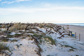 Rusty old anchors on the beach at the Anchor Cemetary graveyard at Praia do Barril beach in Tavira,...