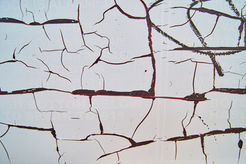 Cracked Weathered Surface with Faded Text Eye-Level Close-Up