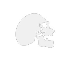 skull logo icon design vector illustration
