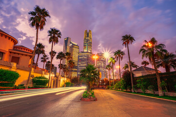 trees in the city