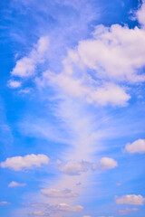 Obraz premium Expansive Blue Sky with Fluffy Clouds Looking Upward