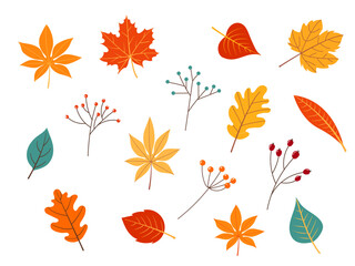 Obraz premium set of autumn leaves. Vector illustration.