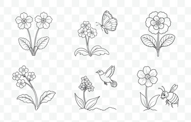 Print Primrose Flower Botanical Illustration Line Art Vector Set Perfect for Floral Designs and Creative Projects