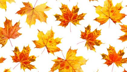 Fototapeta premium pattern of colorful autumn maple leaves with hard light isolated on white background. Warm colors of Autumn