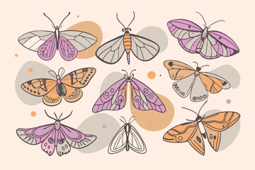 Doodle Boho Mystic Moths collection