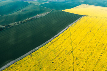 Aerial view of green and yellow agricultural fields