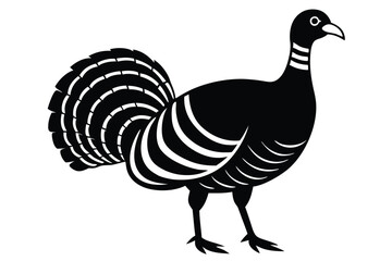 Wild Turkey on Vector Illustration, wild turkey vector illustration, perfect for wildlife and nature