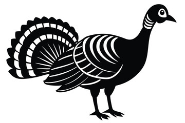 Wild Turkey on Vector Illustration, wild turkey vector illustration, perfect for wildlife and nature