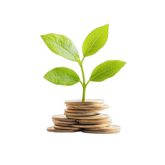 A vibrant green plant growing from a stack of coins, symbolizing investment, growth, and financial prosperity. transparent background